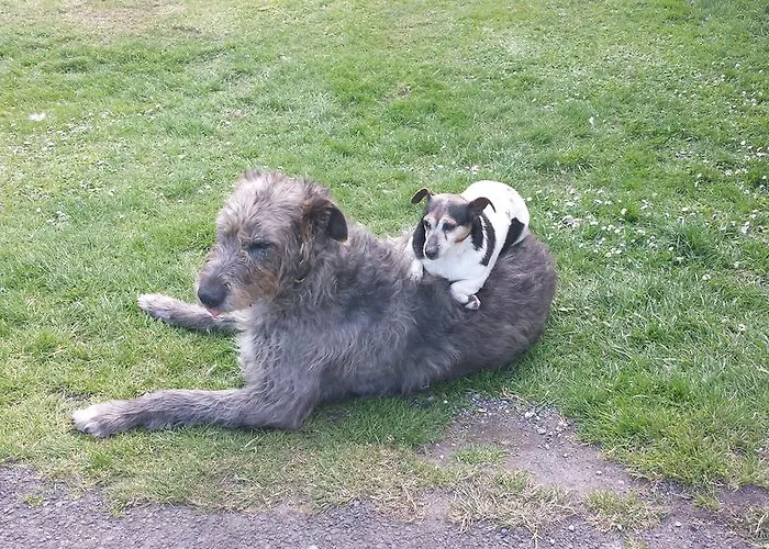 Inch House Villa Thurles